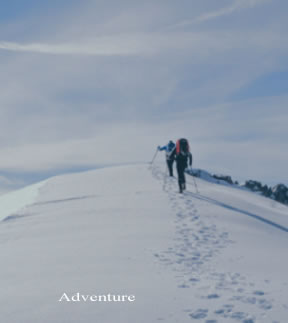 snow walk